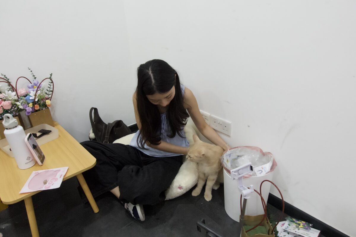 With Cats (2)