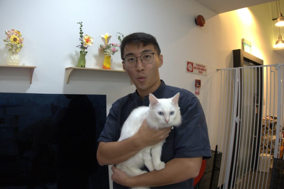 with cats last